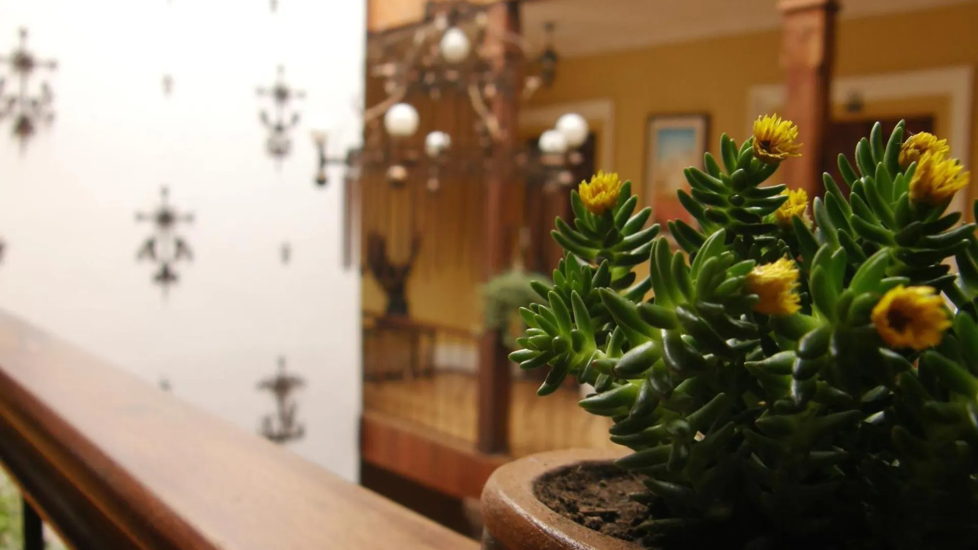 Mia Leticia B&B Quito