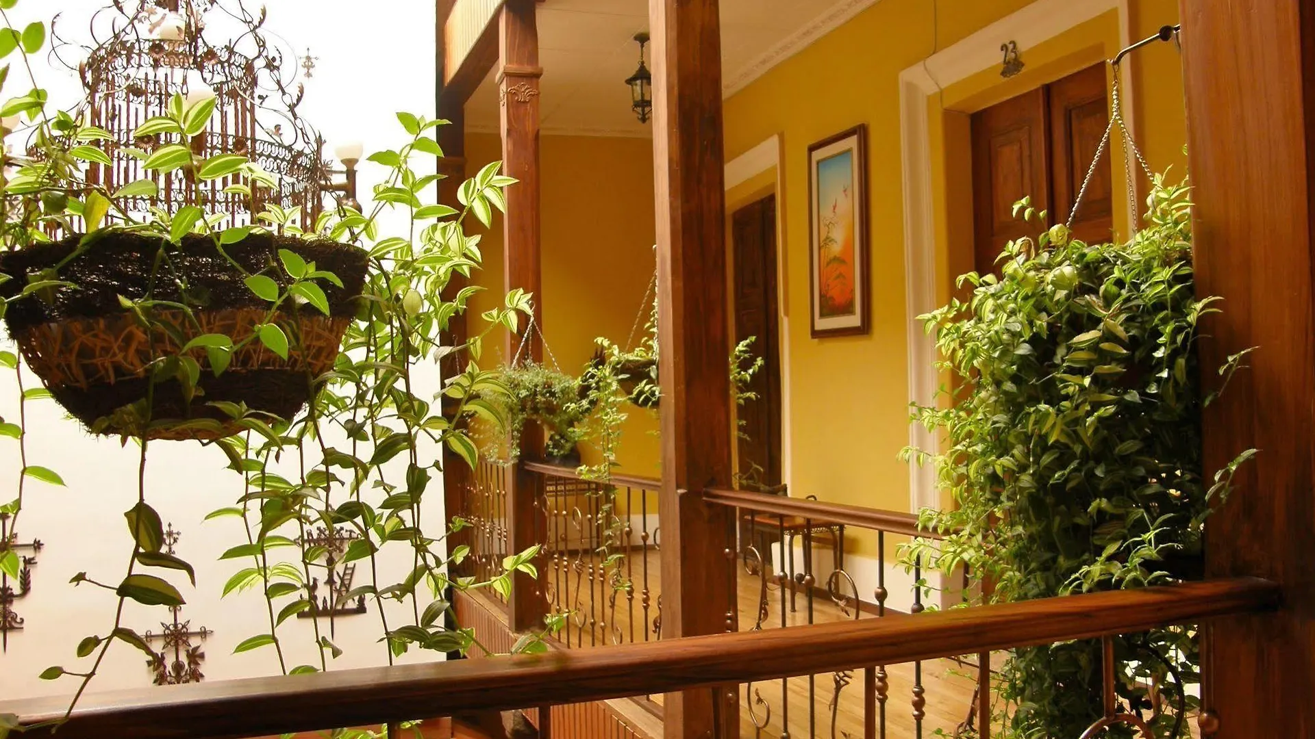 Mia Leticia B&B Quito Hostel